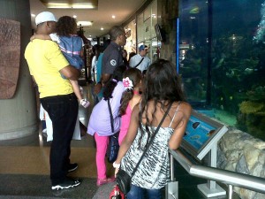 People admiring new aquarium
