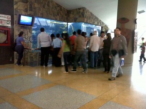 People admiring new aquarium