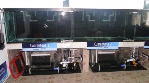 Quarantine Tanks 1-2